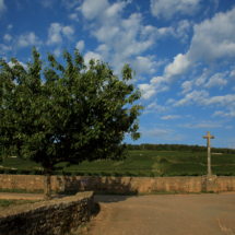 Domaine Romanée Conti i