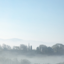 Dans la brume du matin