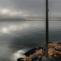 Vue sur la baleine